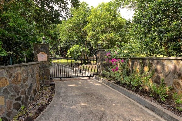 bay tree entrance